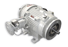 意大利VAR-SPE变速器、液压马达、校准器