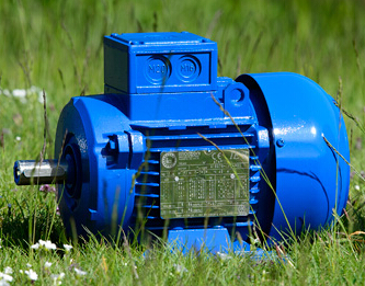 意大利bronzoni B3003A1100GR-63电机