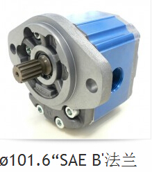 供应VIVOIL泵，VIVOIL单向泵